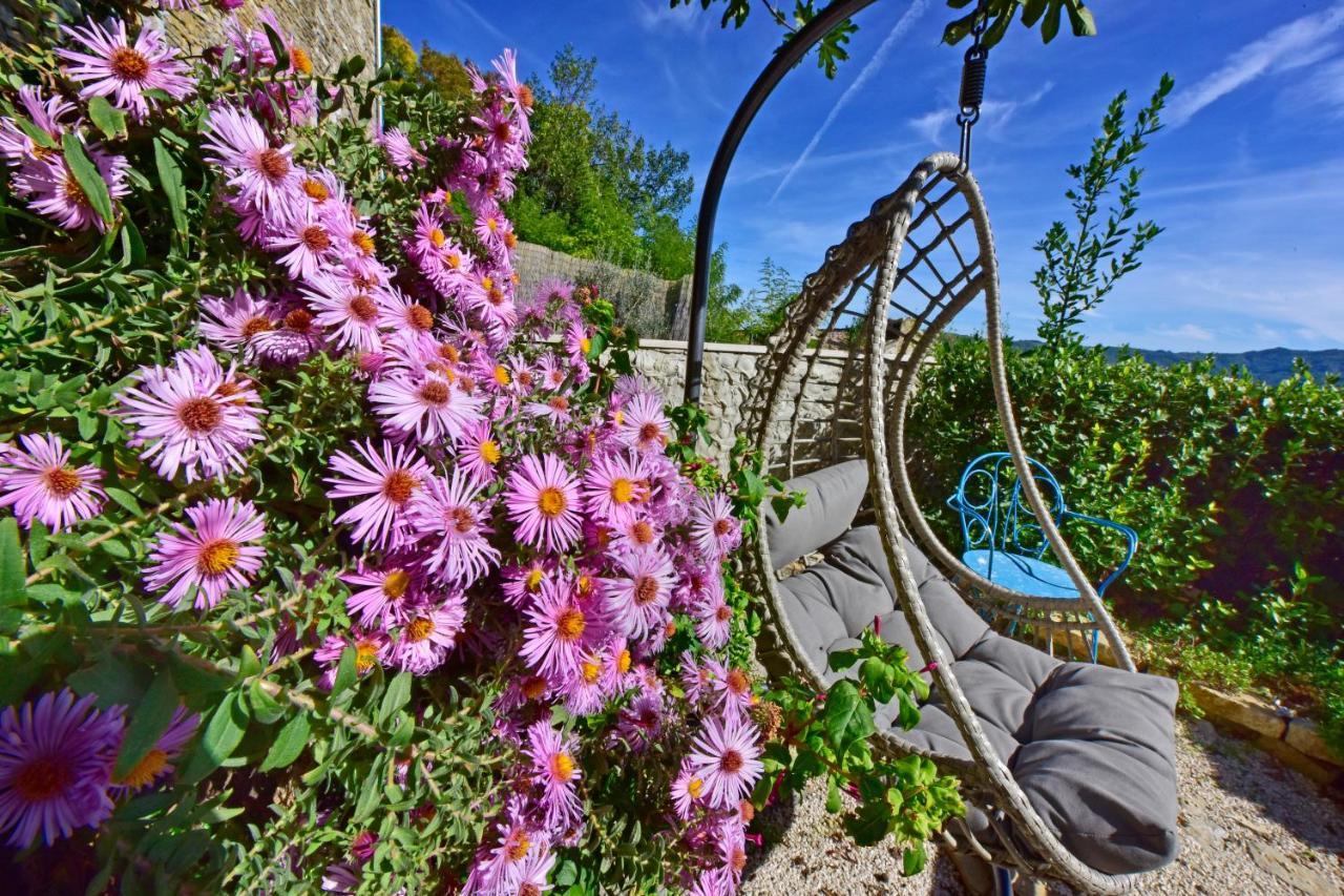 Villa Fragola Motovun Dış mekan fotoğraf